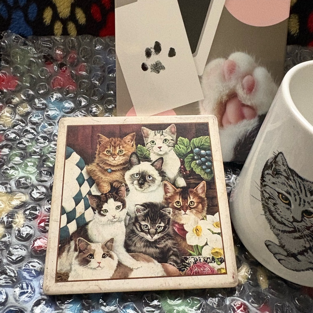 Cat Lover Bundle - Picture 4 of 4